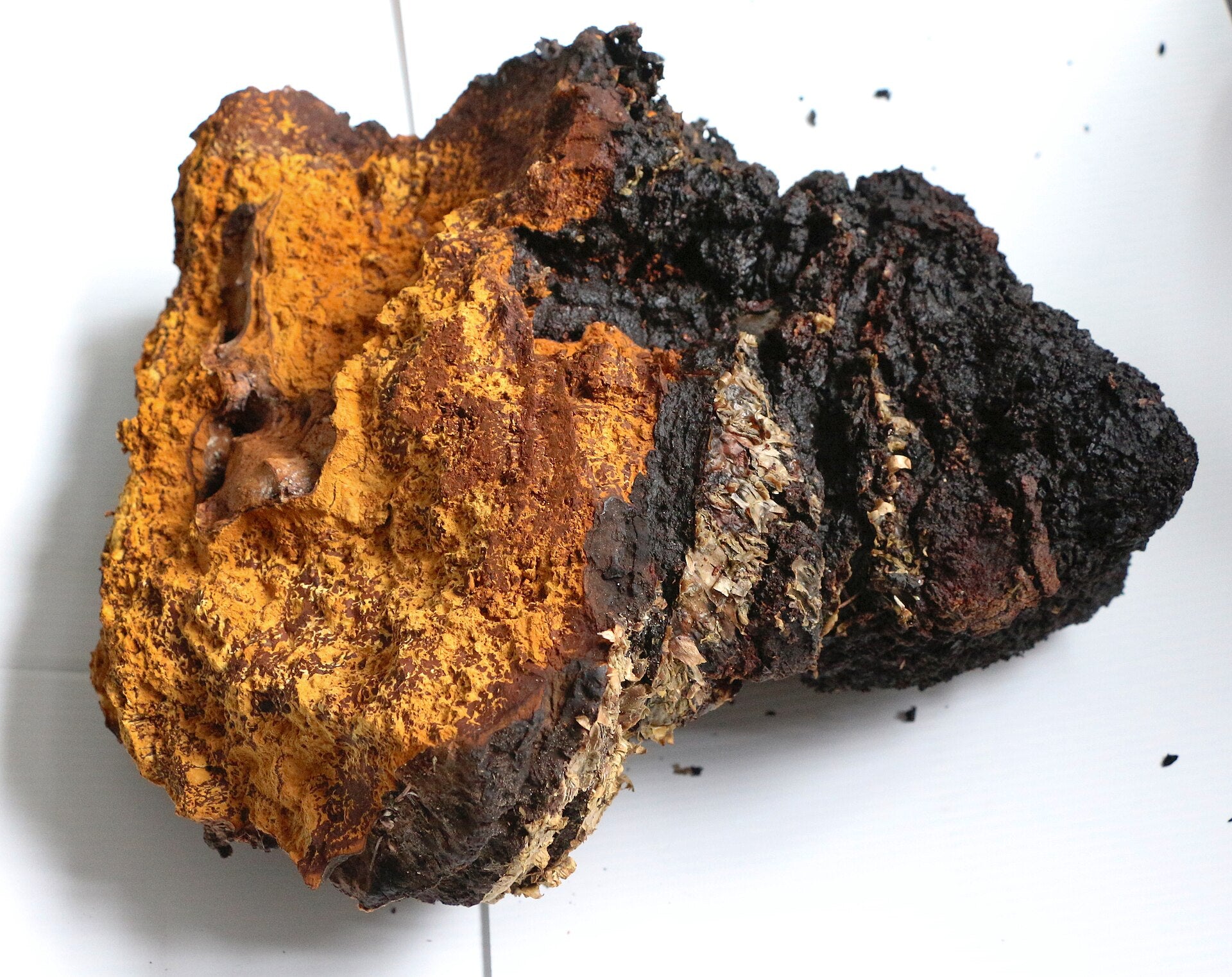 Detached specimen on a light surface, showing exposed orange-brown interior beside black exterior